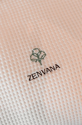 Zenvana Wellness Spa